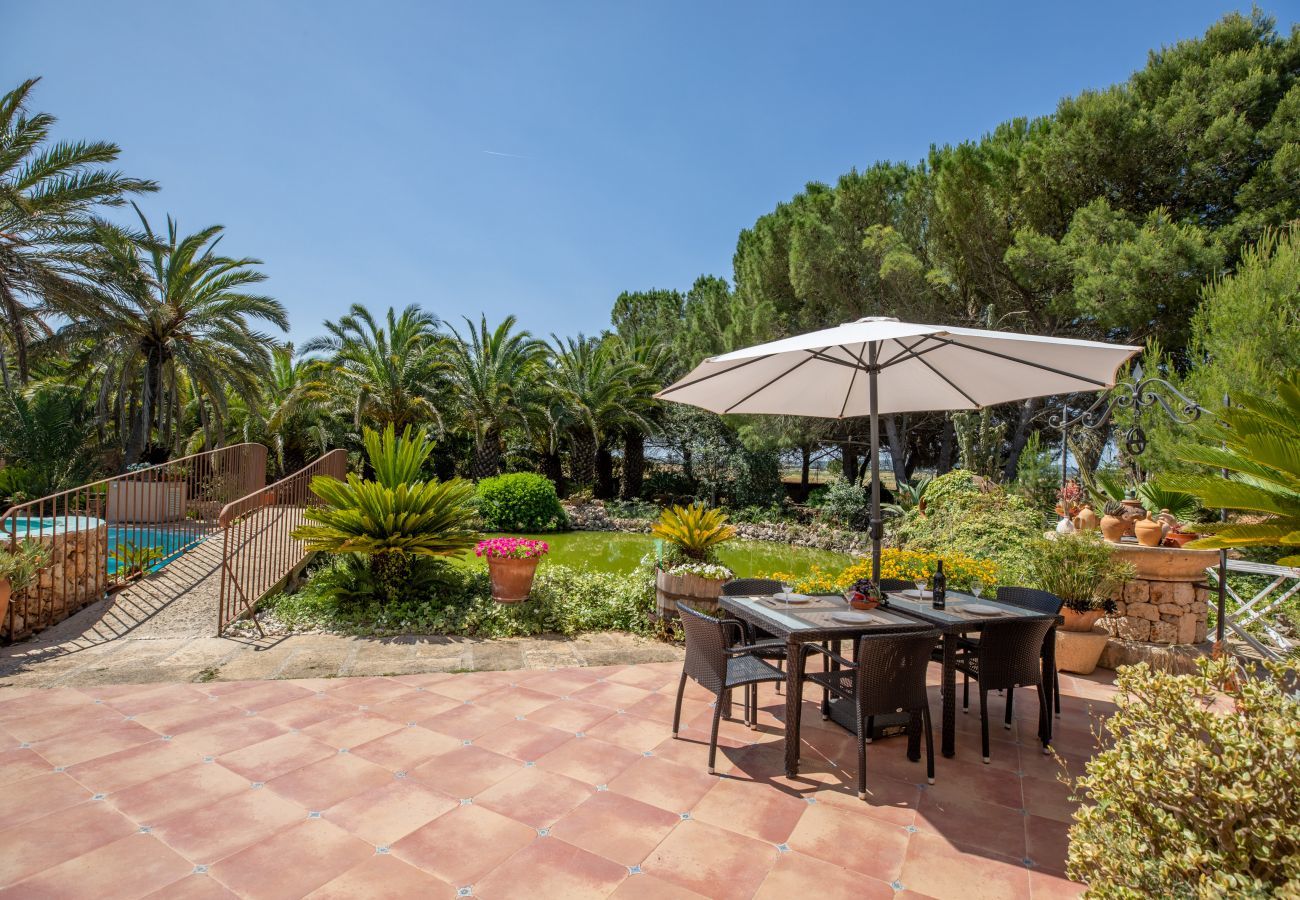 Finca in Ariany - Molivent, Finca 5StarsHome Mallorca