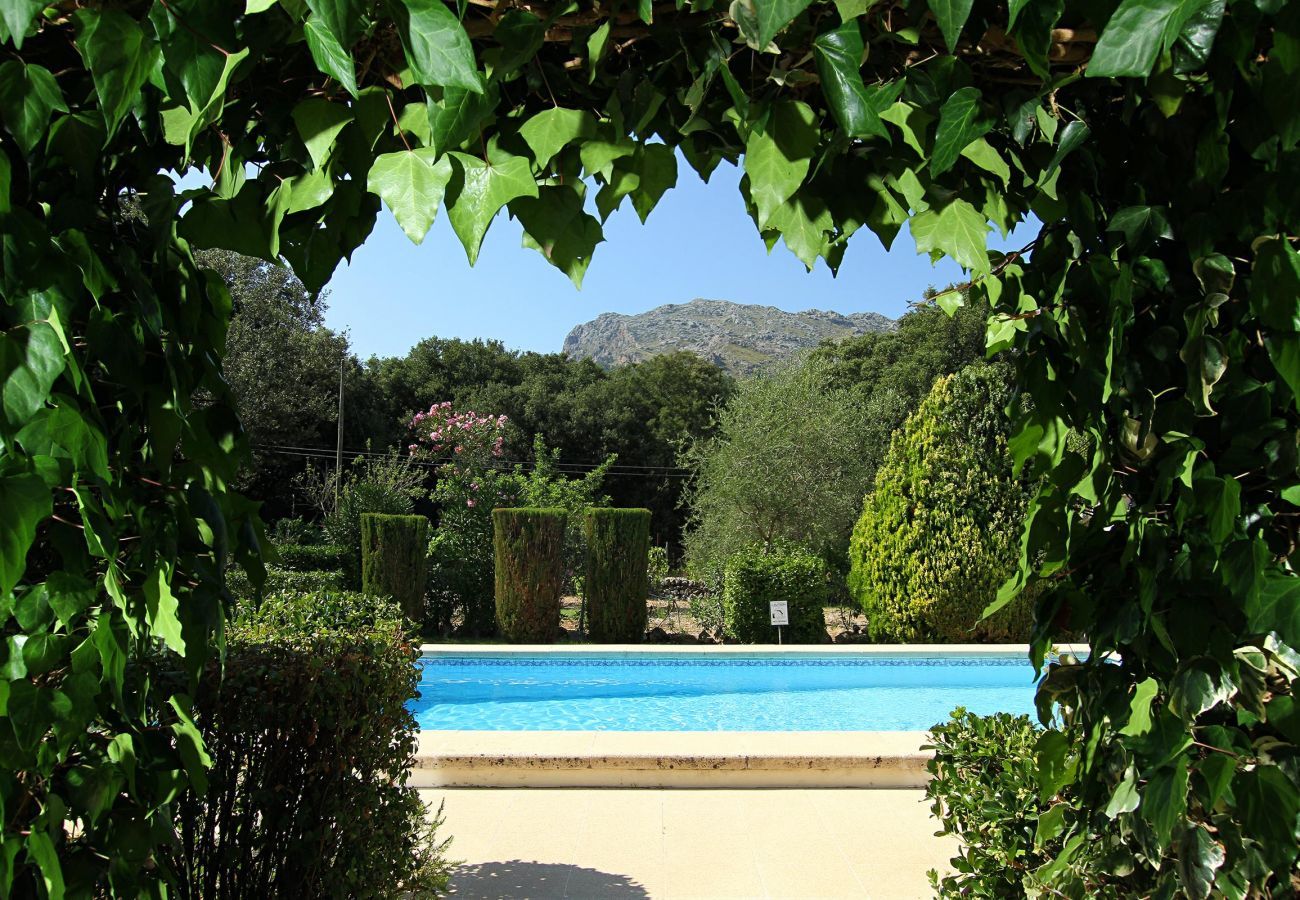 Finca in Pollensa / Pollença - Plantina, Finca 5StarsHome Mallorca