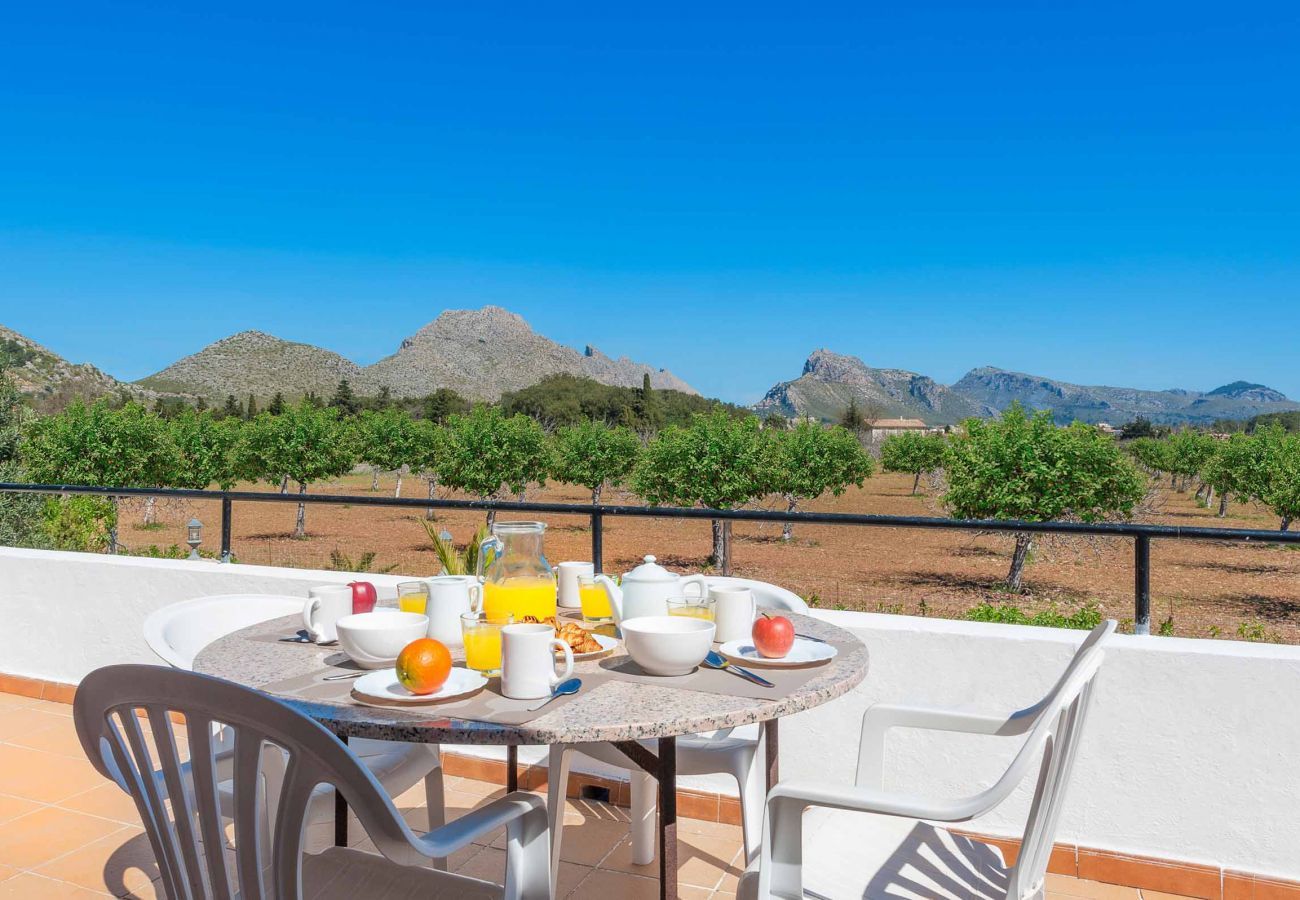 Finca in Puerto Pollensa - Palmestar, Finca 5StarsHome Mallorca