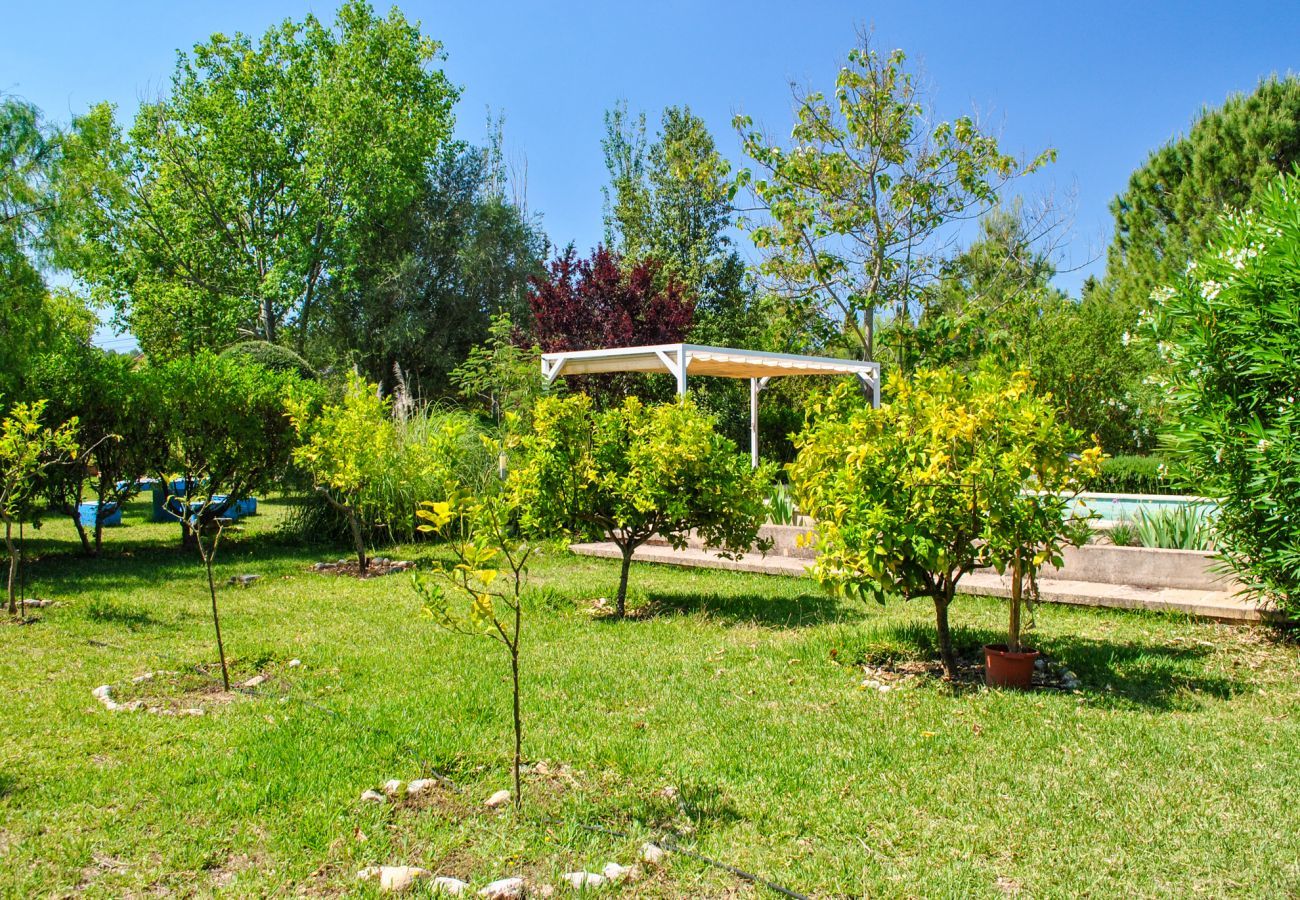 Finca in Selva - Baragreen, Finca 5StarsHome Mallorca