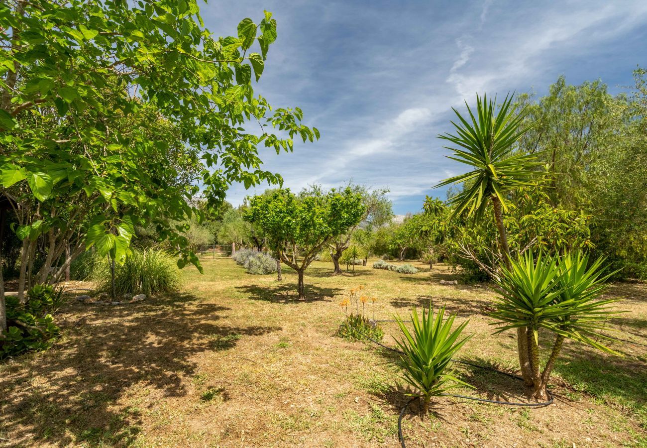 Finca in Selva - Baragreen, Finca 5StarsHome Mallorca