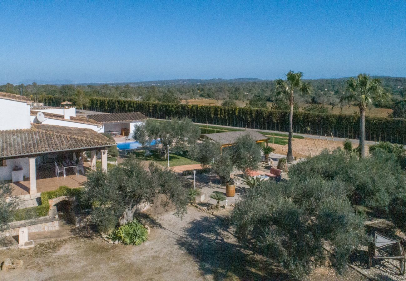 Finca in Sineu - Gelaberet, Finca 5StarsHome Mallorca