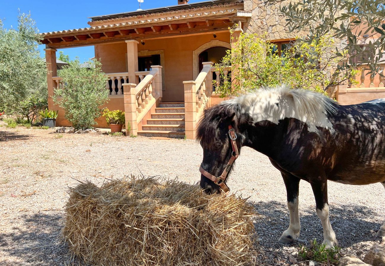 Villa in Capdepera - Katalida, Villa 5StarsHome Mallorca