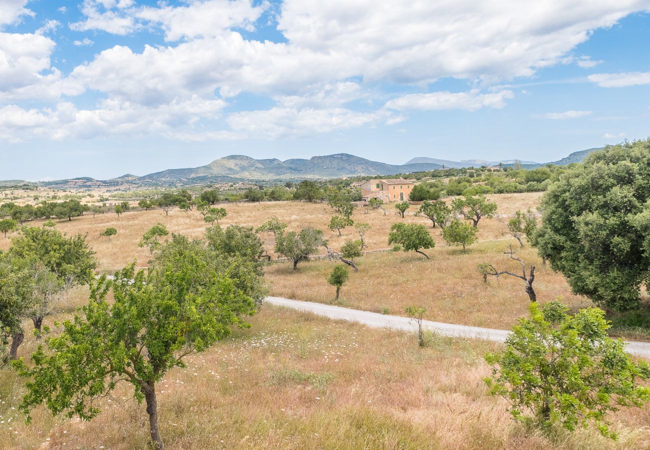 Villa in Sant Llorenç Des Cardassar - Zetrinet, Villa 5StarsHome Mallorca