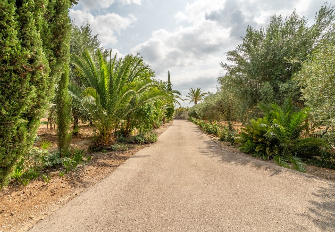 Villa in Consell - Bidaluxe, Villa 5StarsHome Mallorca