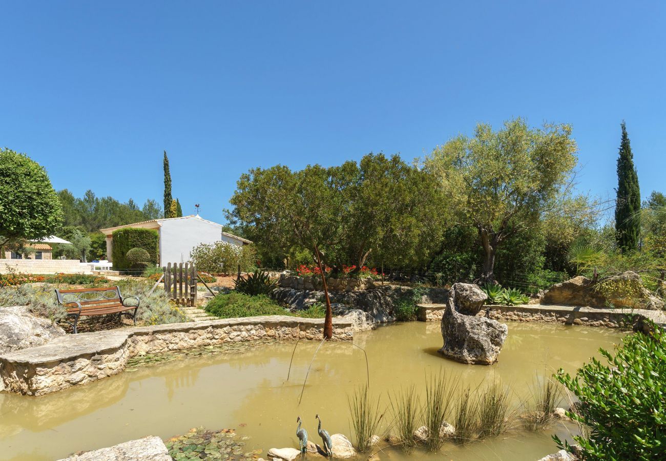 Villa in Pollensa / Pollença - Marirouse 33, Villa 5StarsHome Mallorca