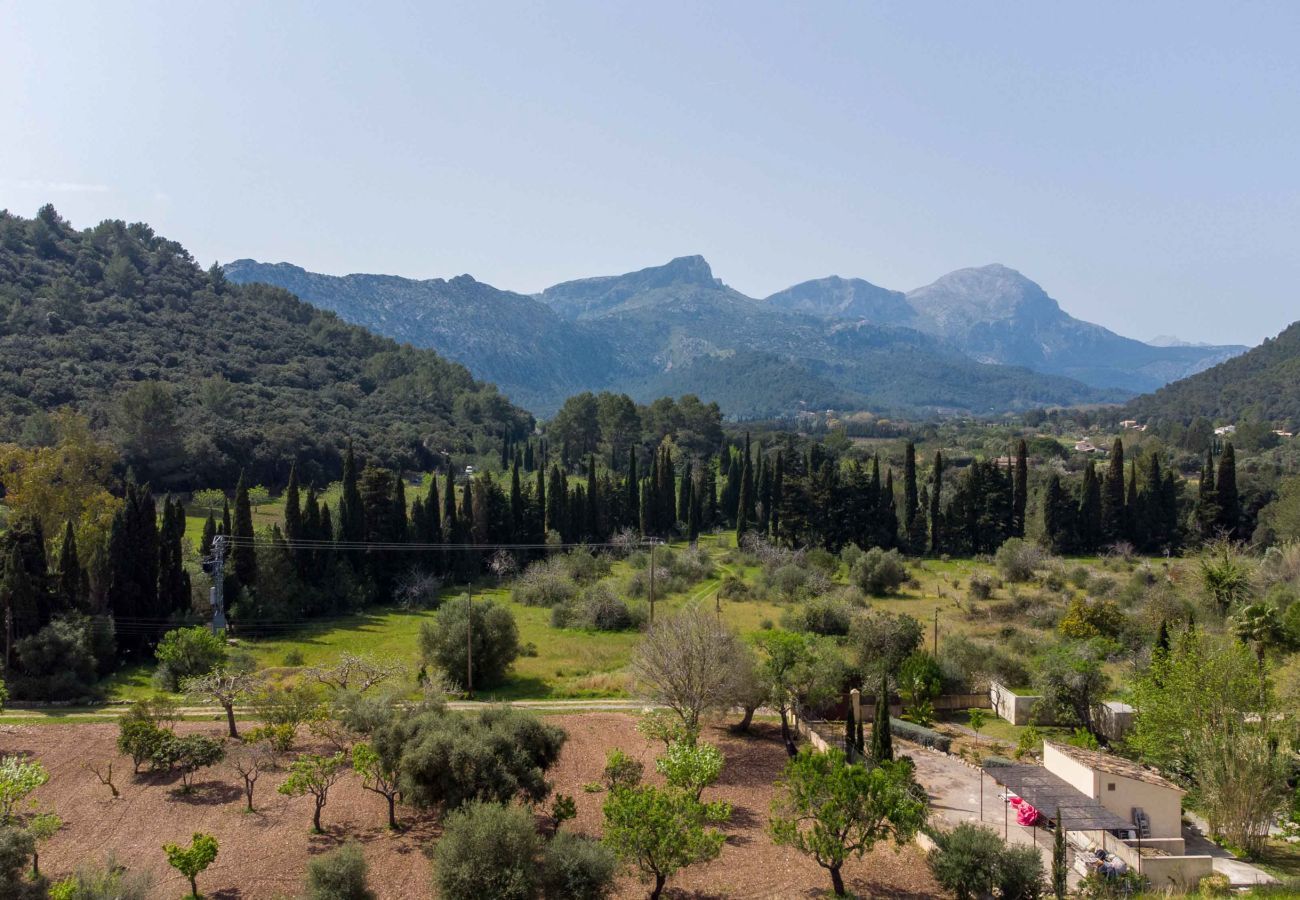 Villa in Pollensa / Pollença - Vallarc 04, Villa 5StarsHome Mallorca