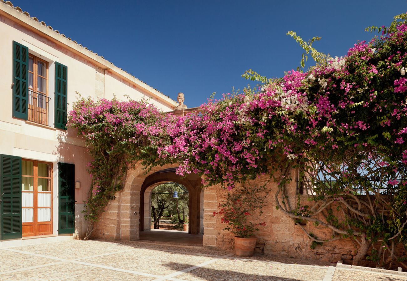 Villa in Santa Margalida - Violet Nature 8, Villa 5StarsHome Mallorca