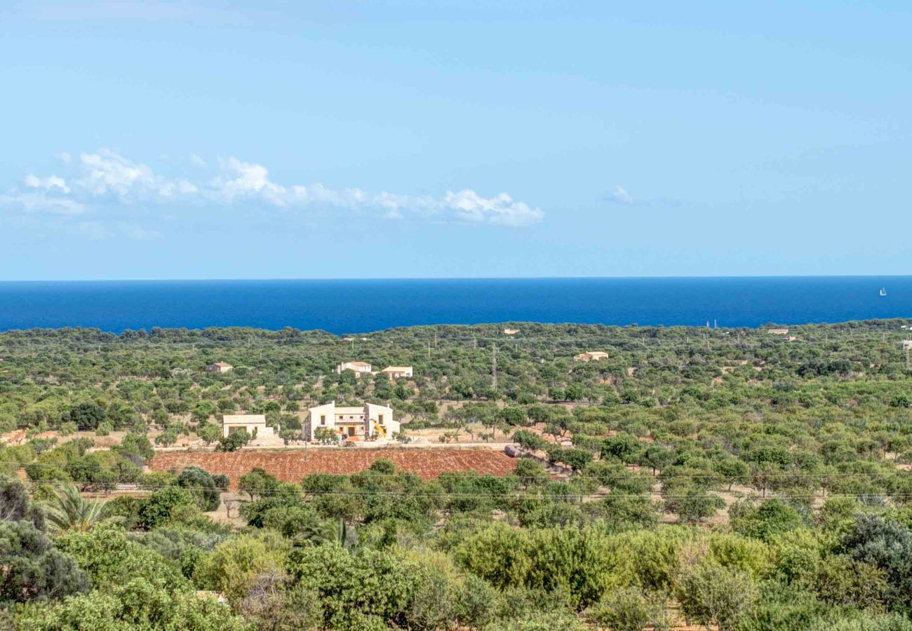 Finca in Felanitx - S'horta Rustica 10 suite,Finca 5StarsHome Mallorca