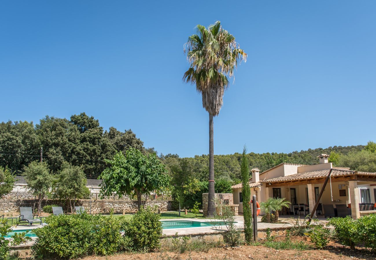 Finca in Pollensa / Pollença - Caliater, Finca 5StarsHome Mallorca