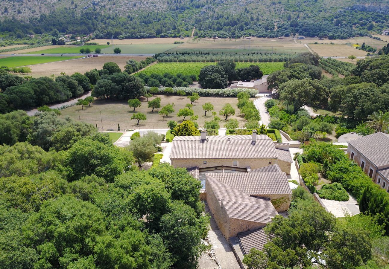 8 habitaciones dobles, 8 baños en suite, 1 baño exterior, 2 baños para invitados, piscina, terrazas, jardín y bodega.