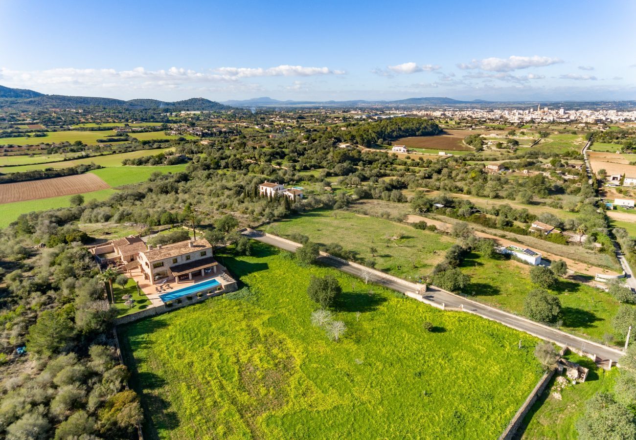 Finca en Manacor - Esturonet, Finca 5StarsHome Mallorca