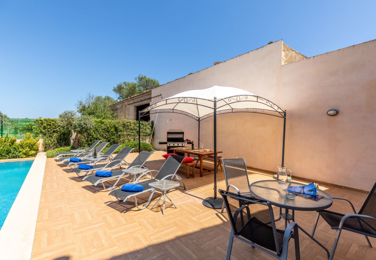 Finca en Ariany - Guesber, Finca 5StarsHome Mallorca