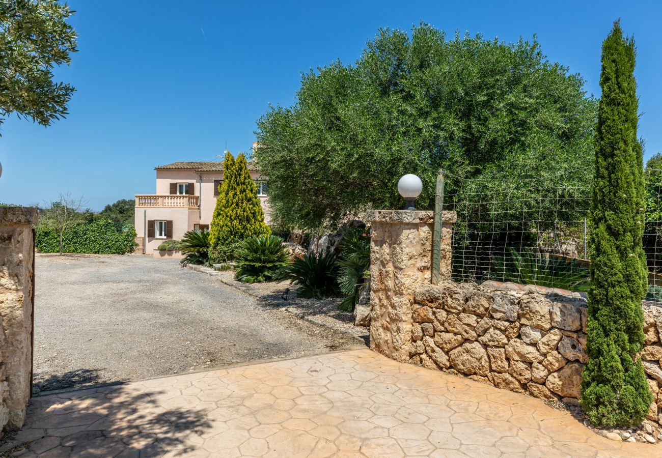 Finca en Ariany - Guesber, Finca 5StarsHome Mallorca