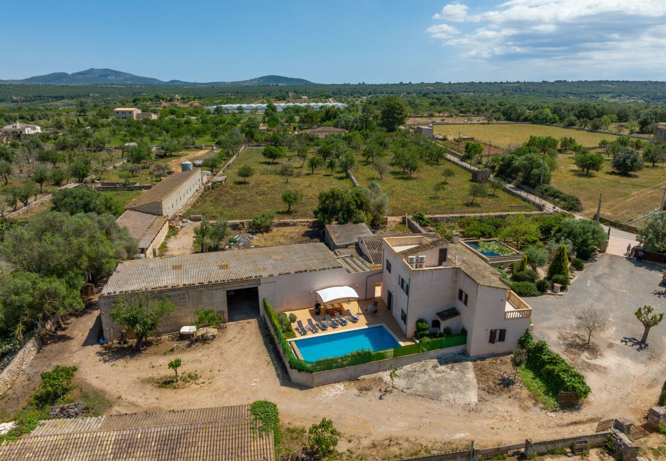 Finca en Ariany - Guesber, Finca 5StarsHome Mallorca