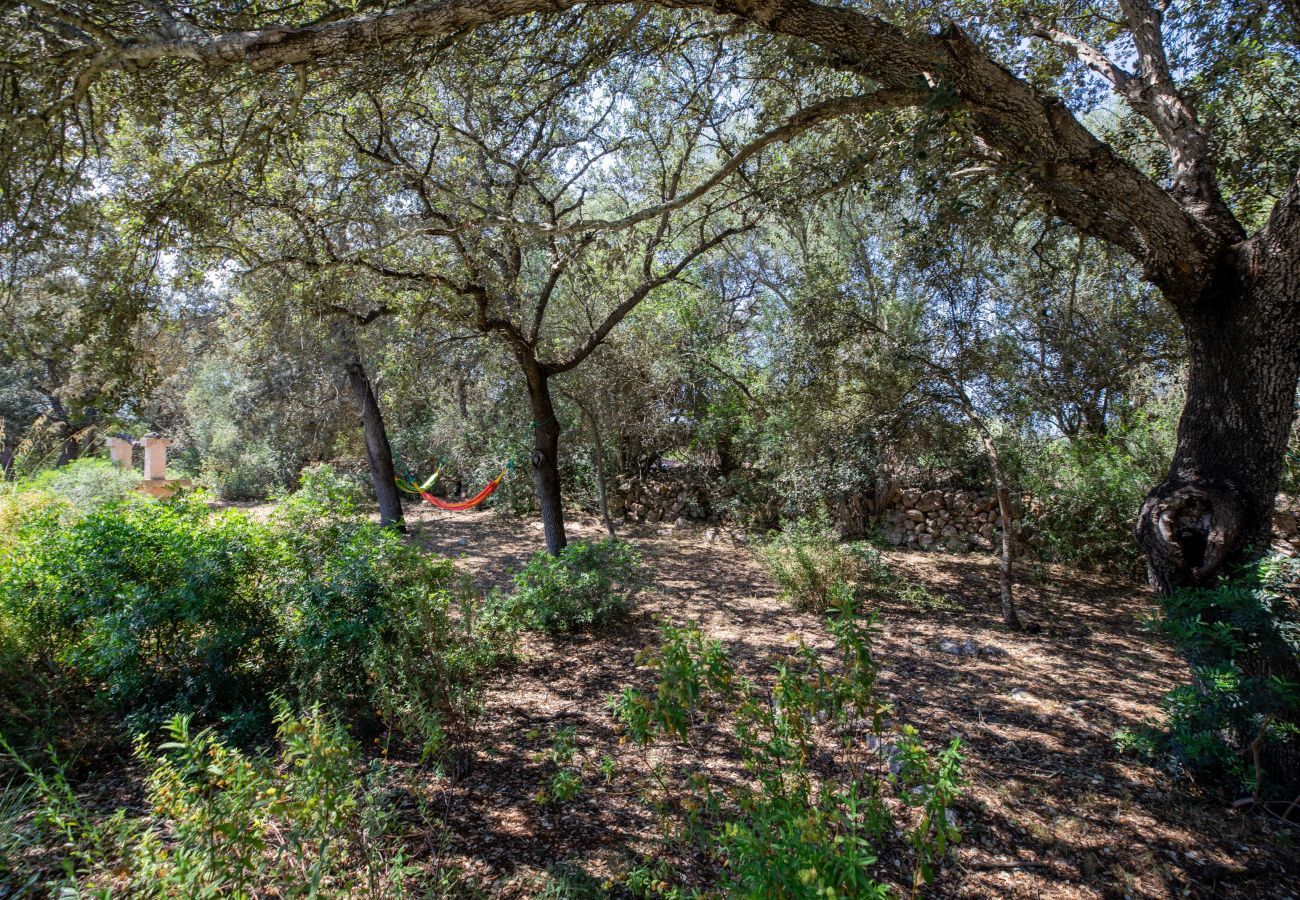 Finca en Costitx - Camadix, Finca 5StarsHome Mallorca