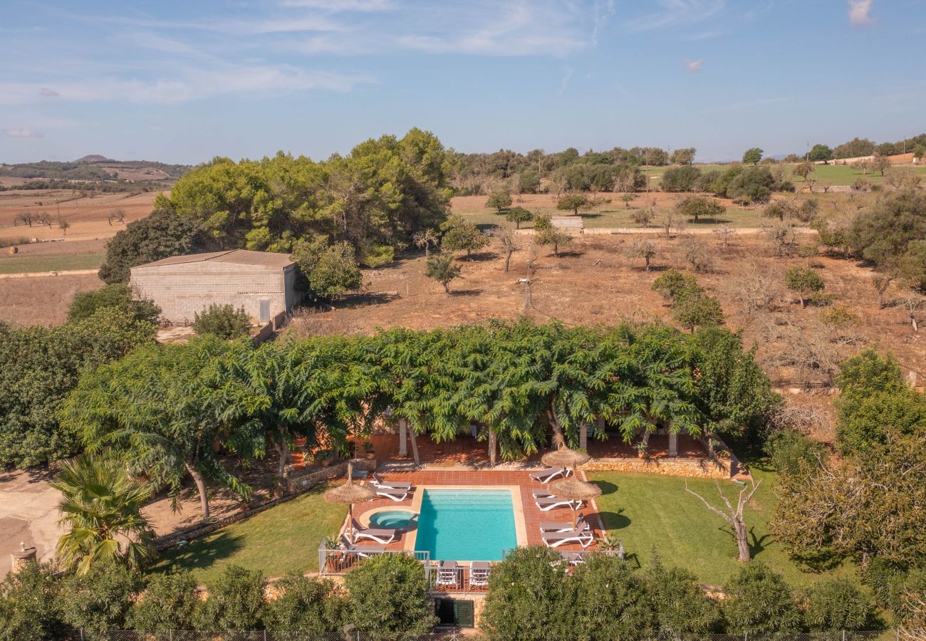 Finca en Ariany - Mariany, Finca 5StarsHome Mallorca