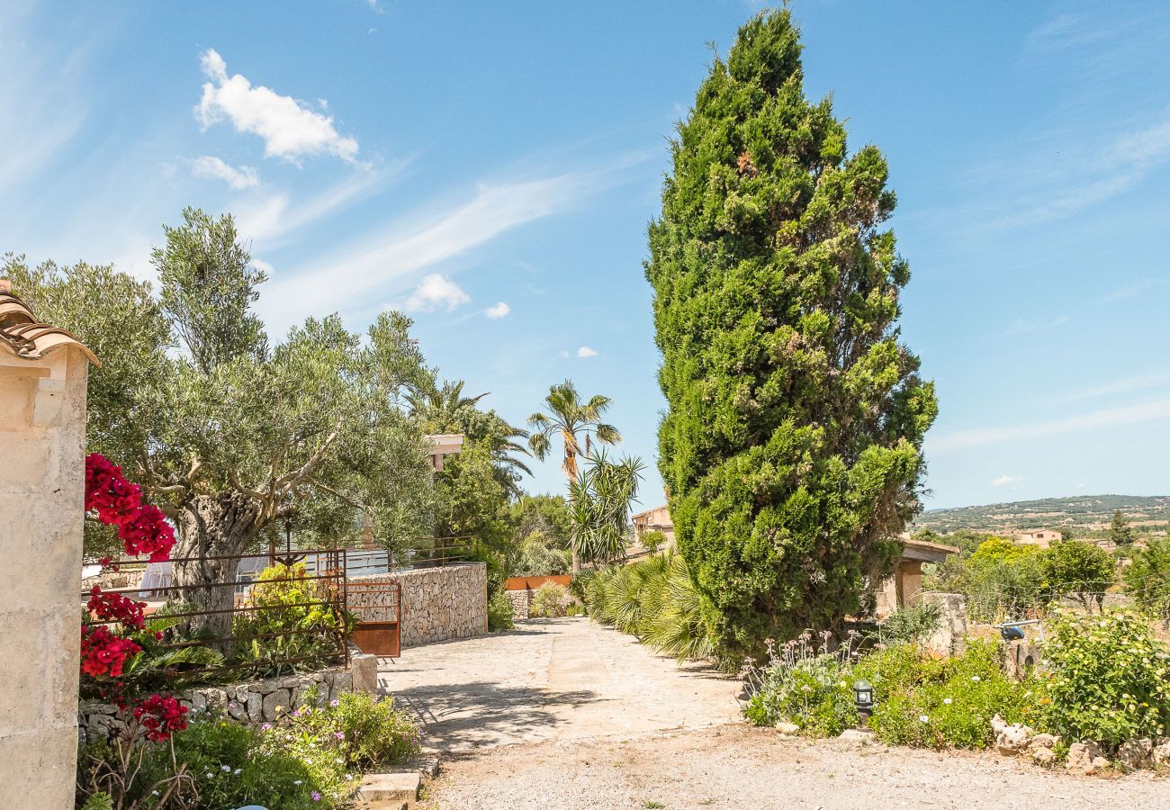 Villa en Sant Llorenç Des Cardassar - Zetrinet, Villa 5StarsHome Mallorca