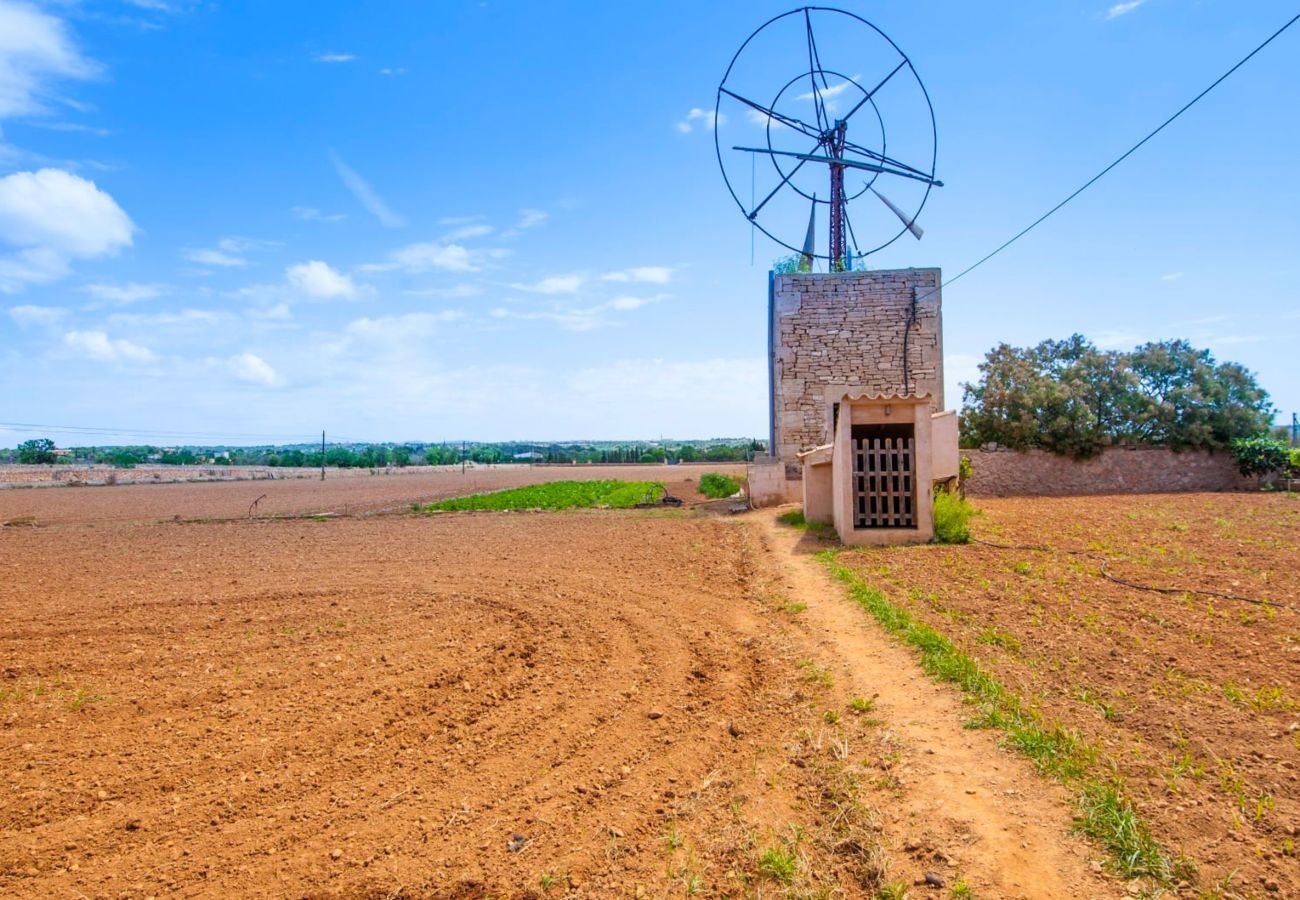 Finca en Ses Salines - Ses Puntes, Finca 5StarsHome Mallorca