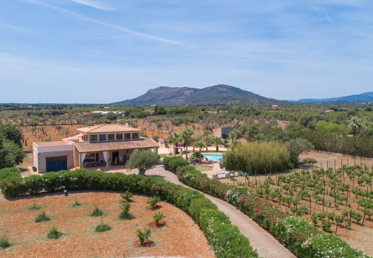 Villa en Buger - Atenaia, Villa 5StarsHome Mallorca