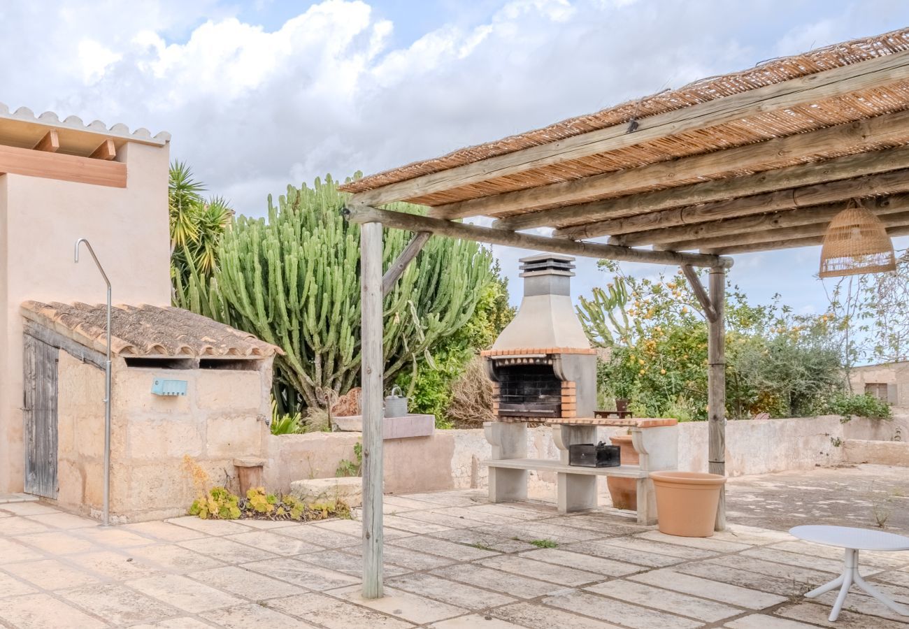 Finca en Manacor - Rustic Coll, Finca 5StarsHome Mallorca