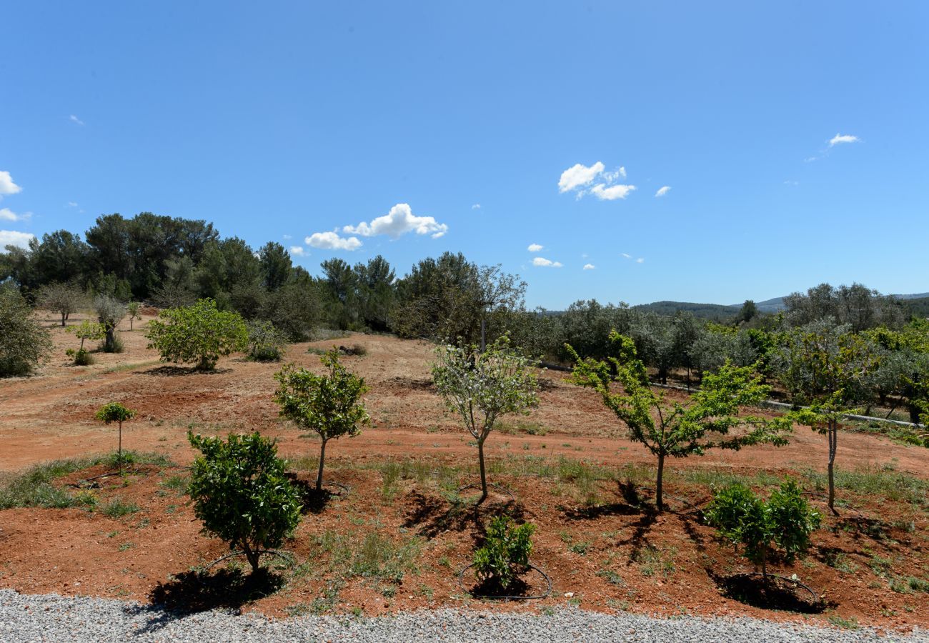 Villa à Santa Gertrudis - Can Vinyes, Villa 5StarsHome Ibiza