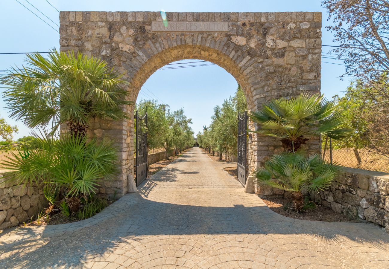 Domaine à Arta - Buitre negro, Finca 5StarsHome Mallorca