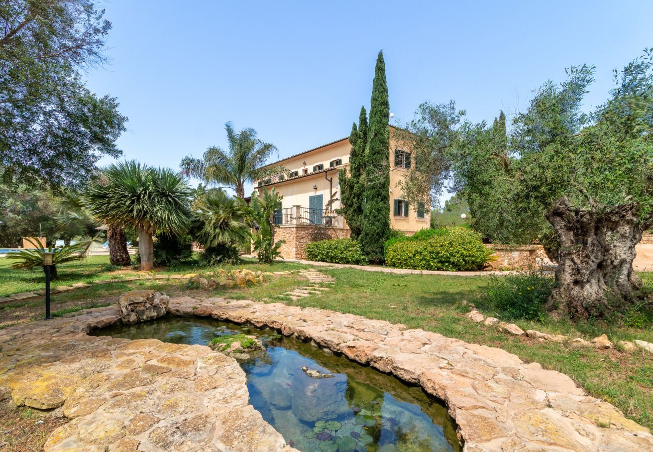 Domaine à Ses Salines - Canvu, Finca 5StarsHome Mallorca