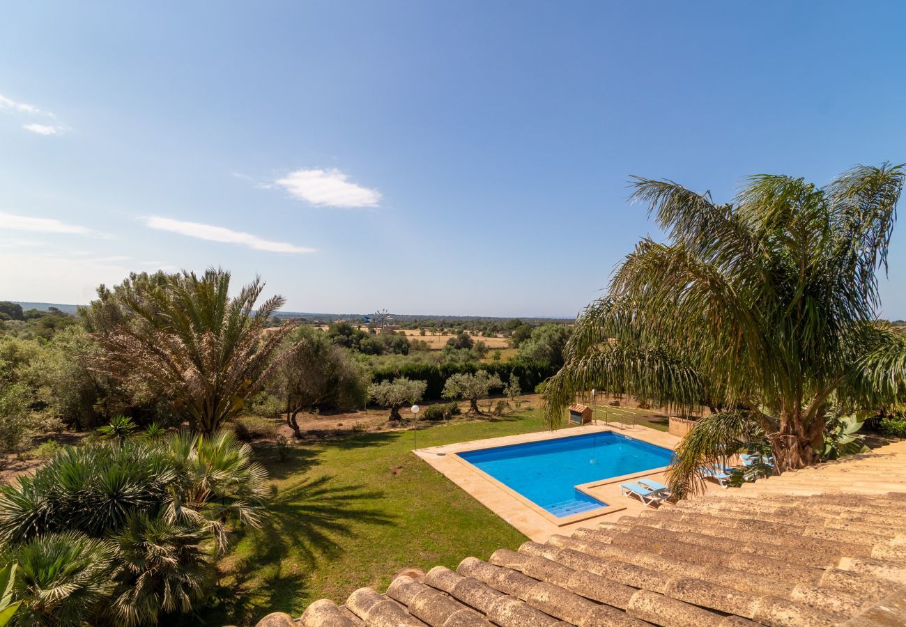 Domaine à Ses Salines - Canvu, Finca 5StarsHome Mallorca