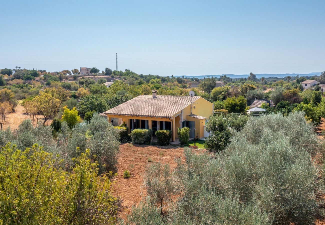 Domaine à Buger - Es Caminet, Finca 5StarsHome Mallorca