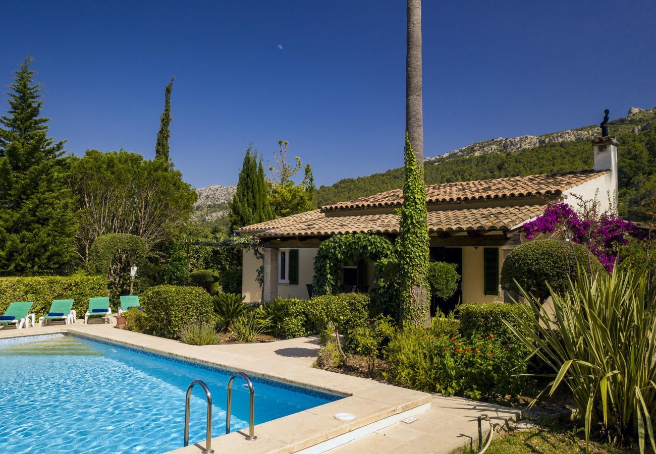 Domaine à Pollensa / Pollença - Plantina, Finca 5StarsHome Mallorca