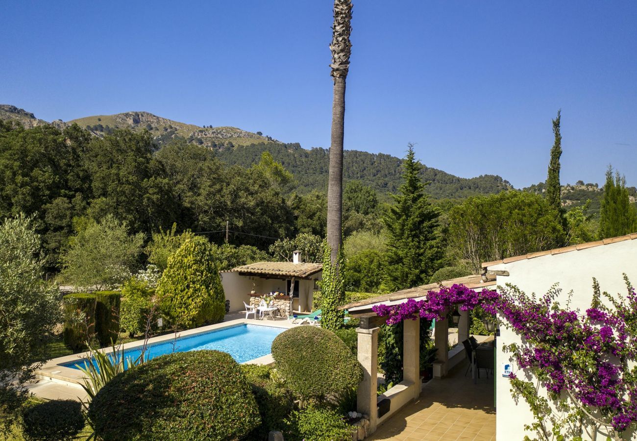 Domaine à Pollensa / Pollença - Plantina, Finca 5StarsHome Mallorca