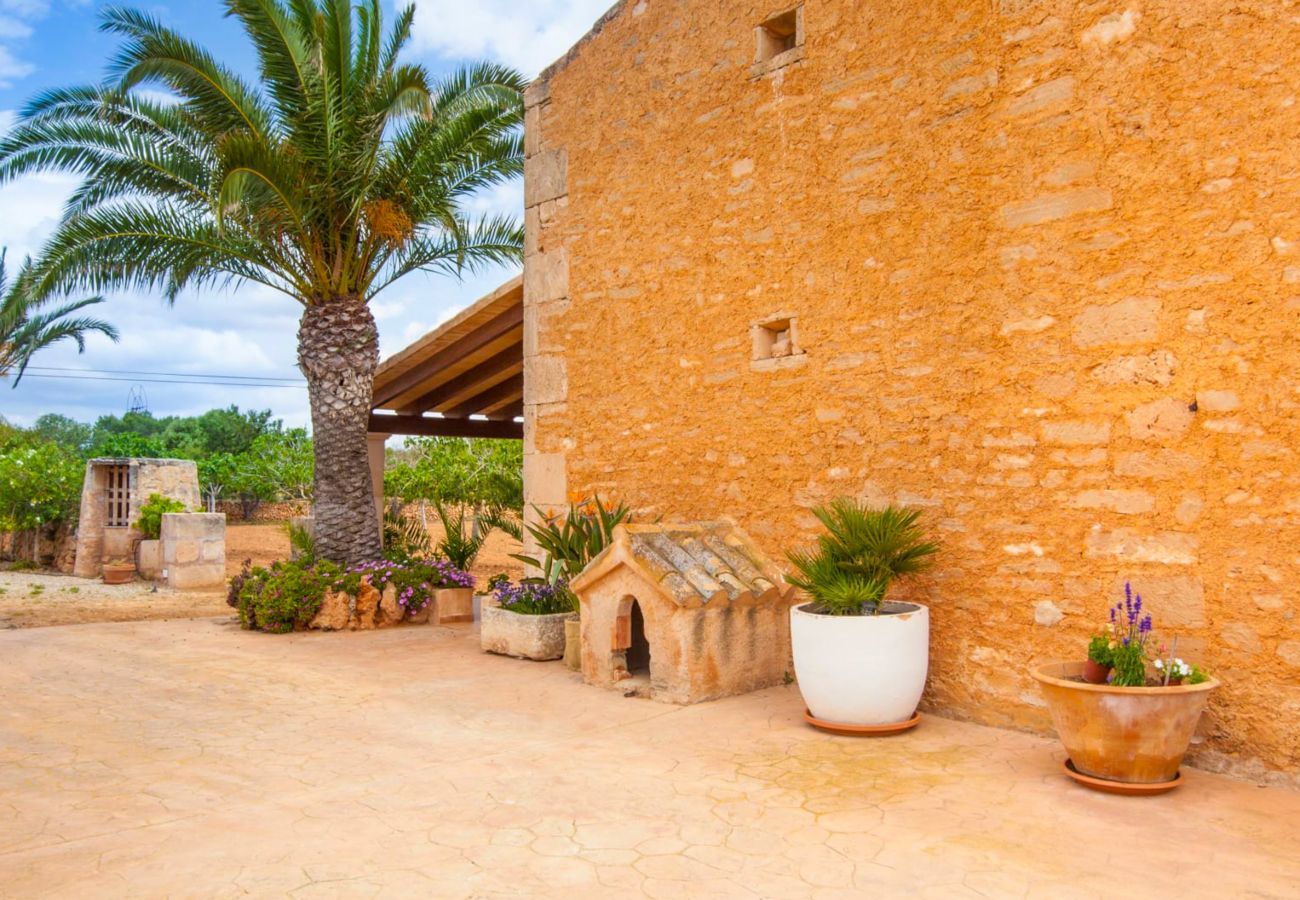 Domaine à Ses Salines - Ses Puntes, Finca 5StarsHome Mallorca