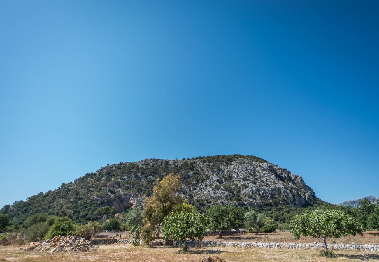 Domaine à Pollensa / Pollença - Caliater, Finca 5StarsHome Mallorca