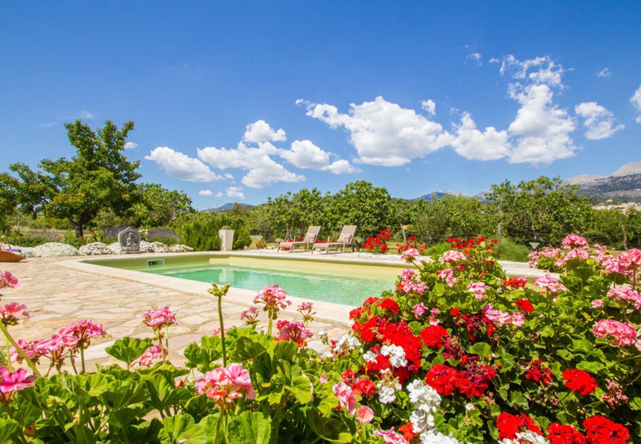 Villa à Selva - Sorubin 7pax, Villa 5StarsHome Mallorca