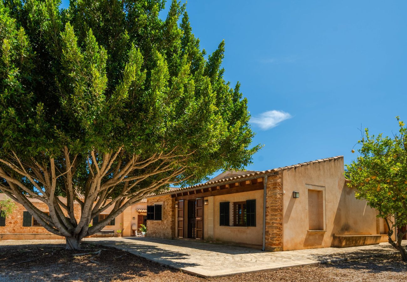 Villa in Arta - Rapal, Villa 5StarsHome Mallorca