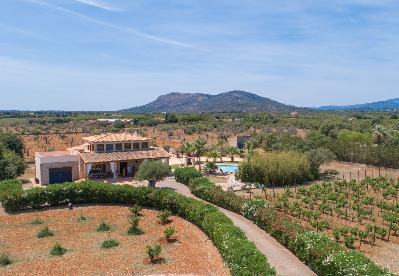 Villa in Buger - Atenaia, Villa 5StarsHome Mallorca