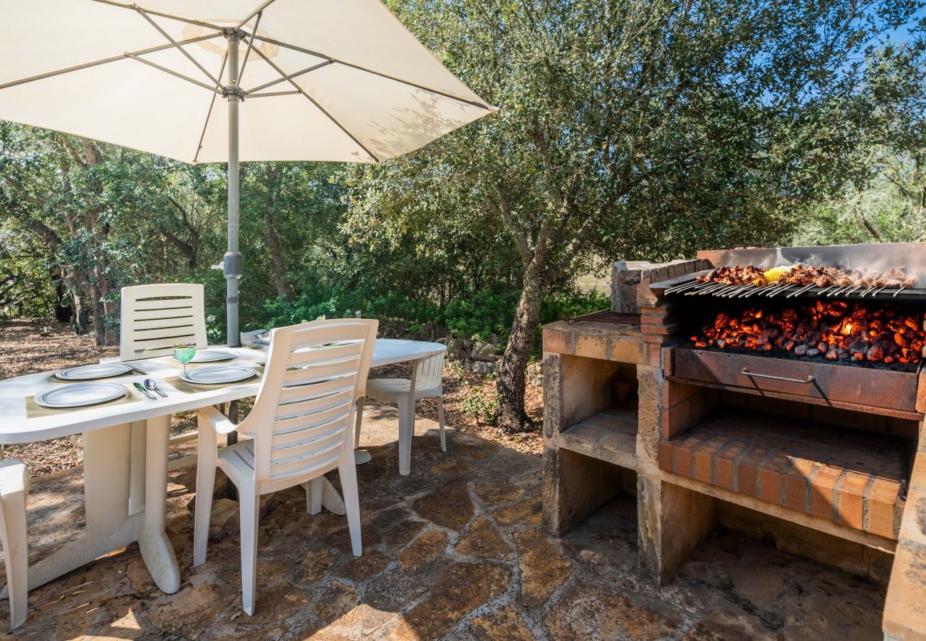 Country house in Arta - Gauta, Finca 5StarsHome Mallorca